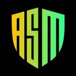 AppSecMaster LLC Profile Picture